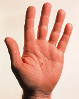 Stampe di Microcogs (immagine 1 di 3). La mano tiene microcogs che formano una macchina a ingranaggi meccanici Immagini datate 1999 settembre: Mano che tiene microcosi