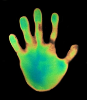 Thermography Images Stampe: Hand, thermogram