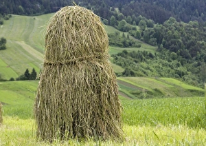 Tatra Mountains Landscape Stampe: Hay stack