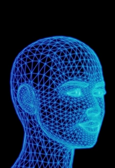 Anatomy Illustration Concept Stampe: Head
