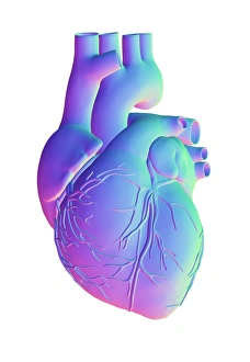 Computer Generated Heart Image Stampe: Heart, computer artwork