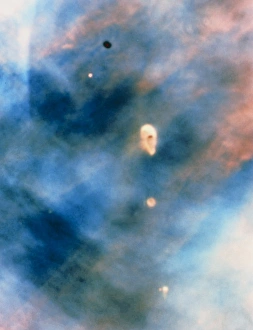 Telescopio Hubble Stampe: Immagine Hubble dei sistemi planetari primordiali