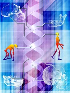 Stampe di L'evoluzione umana Corpo Umano Stampe: L'evoluzione umana