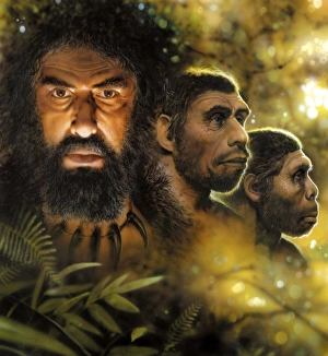 Immagini del 7 agosto 2012: L'evoluzione umana, immagine concettuale C013/9574