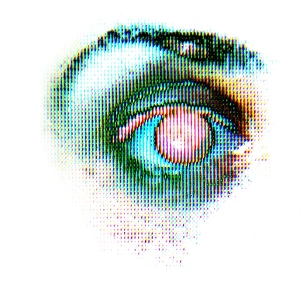 Eye Anatomy Stampe: Human eye