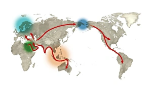 Stampe di La migrazione umana. L'opera d'arte rappresenta la storia globale della migrazione umana moderni esseri umani emersero 200 mila anni fa in Africa (centro sinistro) Immagini datate 2013 febbraio: Migrazione umana, arte
