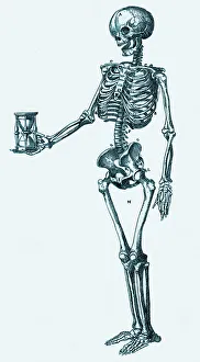 Stampe di Osso umano. Arte storica di un osso umano che tiene un orologio da tempo. I 206 ossi dell'osso forniscono protezione e sostegno al corpo Immagini datate 2004: Osso umano