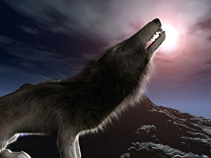 Prehistoric Mammal Stampe: Hyaenodon