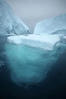 Iceberg Formation Stampe: Iceberg