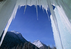 Rocky Mountains View Stampe: Icicles, Canada