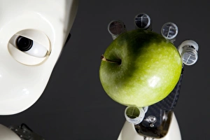 Stampe di I Cubo robot tiene un'arancia. Il Cubo è una piccola robotta umana progettata dal RobotCub Consortium di scienziati universitari europei Immagini datate 2012 settembre: Robot iCub