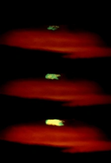 Light Refraction Science Stampe: Image of the green flash effect