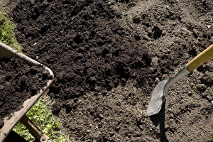 Organic Gardening Tips Stampe: Improving soil structure