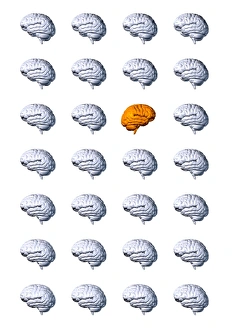 Computer Generated Brain Image Stampe: Individual brain