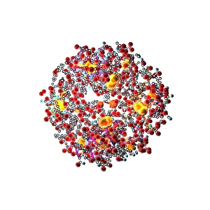 Immagini datate 2008 giugno: Molecola di insulina, arte computazionale