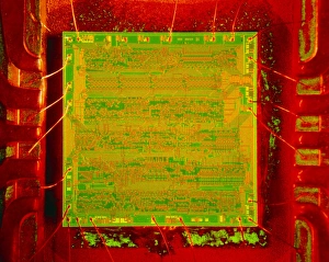 Microchip Technology Stampe: Integrated microchip