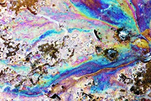 Immagini datate 2009 gennaio: Risposta di interferenza dell'olio sull'acqua