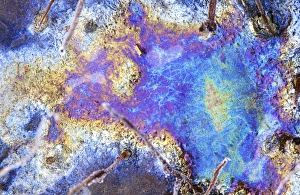 Stampe di Modelli di interferenza in un lago congelato contenenti pellicole sottili d'olio. L'olio è stato rilasciato dalle foglie decomposte sulla superficie del lago Immagini datate 2006 gennaio: Modelli di interferenza su un lago congelato