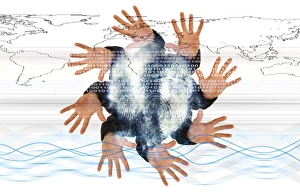 Identity Theft Prevention Stampe: Internet security