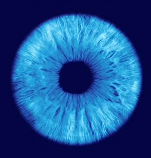 Stampe di L'iride. Immagine computerizzata del colore blu/brunastro dell'iris di un occhio umano Immagini datate 2004 luglio: L'iride dell'occhio
