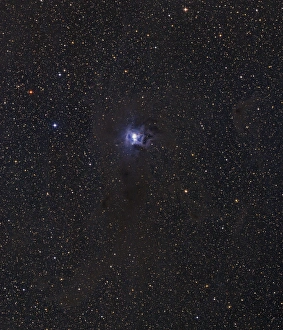 Science Space Images Stampe: Iris Nebula