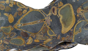 Mineral Specimen Photography Stampe: Jasper