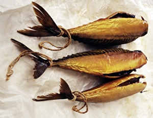 Smoked Fish Stampe: Kippers