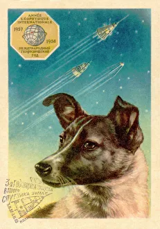 Laika la cagnetta nello spazio postale.