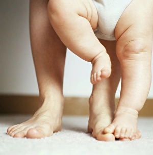 Stampe di RILASCIO DEL MODELLO. Apprendere a camminare. La madre sostiene il suo bambino di otto mesi, maschio, mentre impara ad andare in piedi Immagini datate 2007 maggio: Imparare a camminare