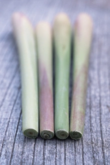 Herb Photography Stampe: Lemon grass