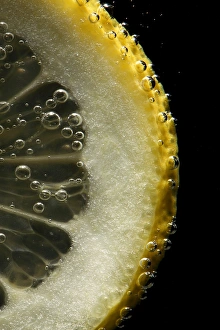 Lemon Slice Stampe: Lemon slice