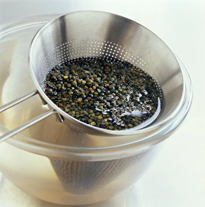 Edible Seeds Stampe: Lentils