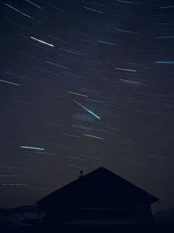 Leonid Meteor Shower Stampe: Leonid meteor