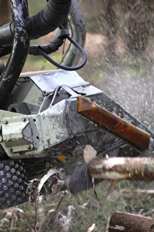 Logging Industry Stampe: Logging machine