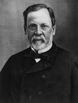 Louis Pasteur Stampe: Luigi Pastore