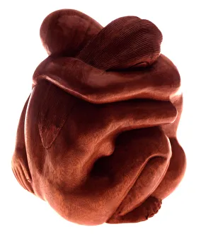 Stampe di Amanti, scultura in legno Immagini datate 2004: Lovers