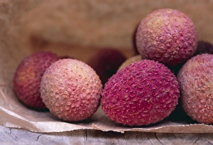 Lychee Fruit Stampe: Lychee fruit
