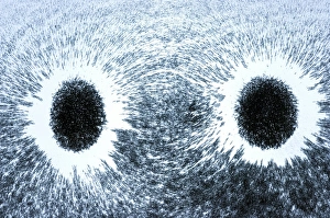 Magnetized Iron Filings Stampe: Magnetic field pattern