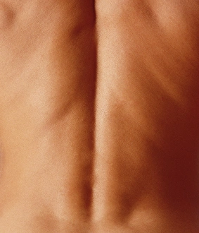 Male Anatomy Stampe: Mans back