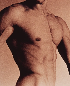 Stampe di Torso nudo di uomo Immagini datate 2001: Torso di Mans