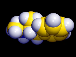 Stampe di La molecola di metamfetamina. Grafica computer del farmaco metametilfenidra (formula C10.H15.N), una derivazione più rapida e con effetto duraturo dell'amfetamina Immagini datate 2002 settembre: Molecola di metilamfetamina