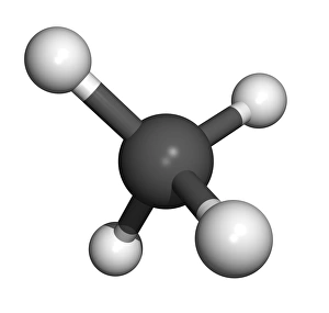 Stampe di Molecola di metano. Modello computer del molecolo di metano (CH4). Gli atomi sono rappresentati come sfera e vengono colorati: carbonio (grigio) ed idrogeno (bianco) Immagini datate 2008 gennaio: Molecola di metano