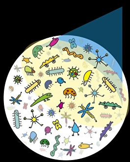 Light Microscopy Images Stampe: Microbes