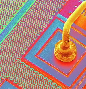 Stampe di Il filo micromeccanico. Scanning elettronegativo colorato (SEM) di un filo micromeccanico (arancione, spesso fatto d'oro) che si collega alla superficie di una microcircuitazione Immagini datate 2004 giugno: Filo di connessione del microchip, SEM