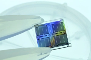 Electronic Component Stampe: Microchip F008 / 3287