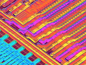 Stampe di La superficie del microchip. Micrografia elettronica di scansione colorata (SEM) di alcuni dei molti tracciati che vengono incisi sulla sua superficie Immagini datate 2004 giugno: Superficie del microchip, SEM
