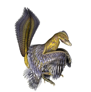 Feathered Dinosaurs Stampe: Microraptor dinosaur
