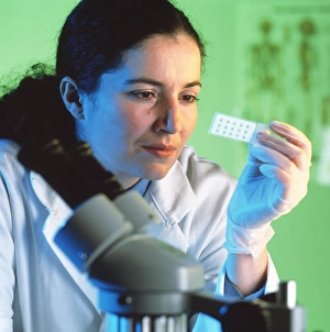 Scientific Research Equipment Stampe: Microscope sample