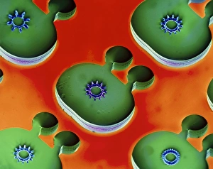 Coloured Scanning Electron Microscopy Stampe: Miniature engine, SEM