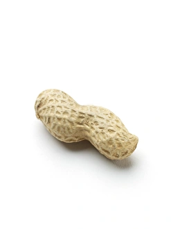 Tropical Fruit Stampe: Monkey nut